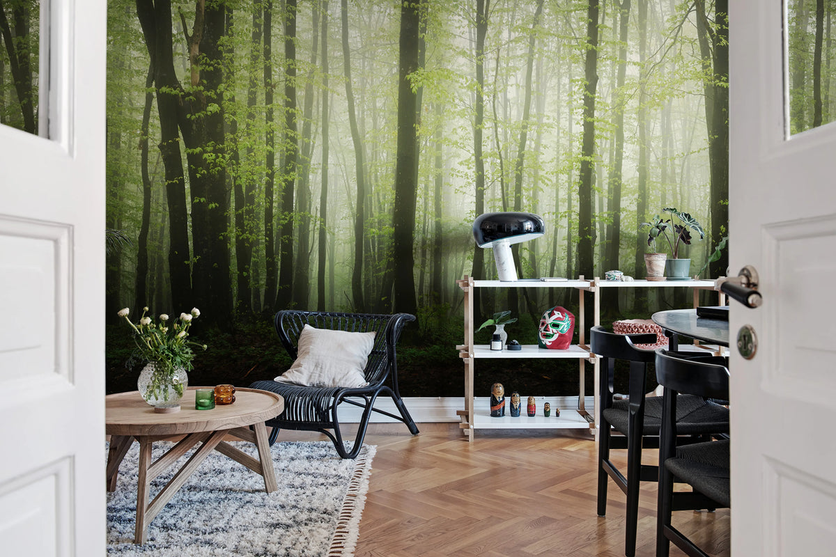 Dawn in the Forest Mural Wallpaper - room preview 02