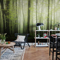 Dawn in the Forest Mural Wallpaper - room preview 02