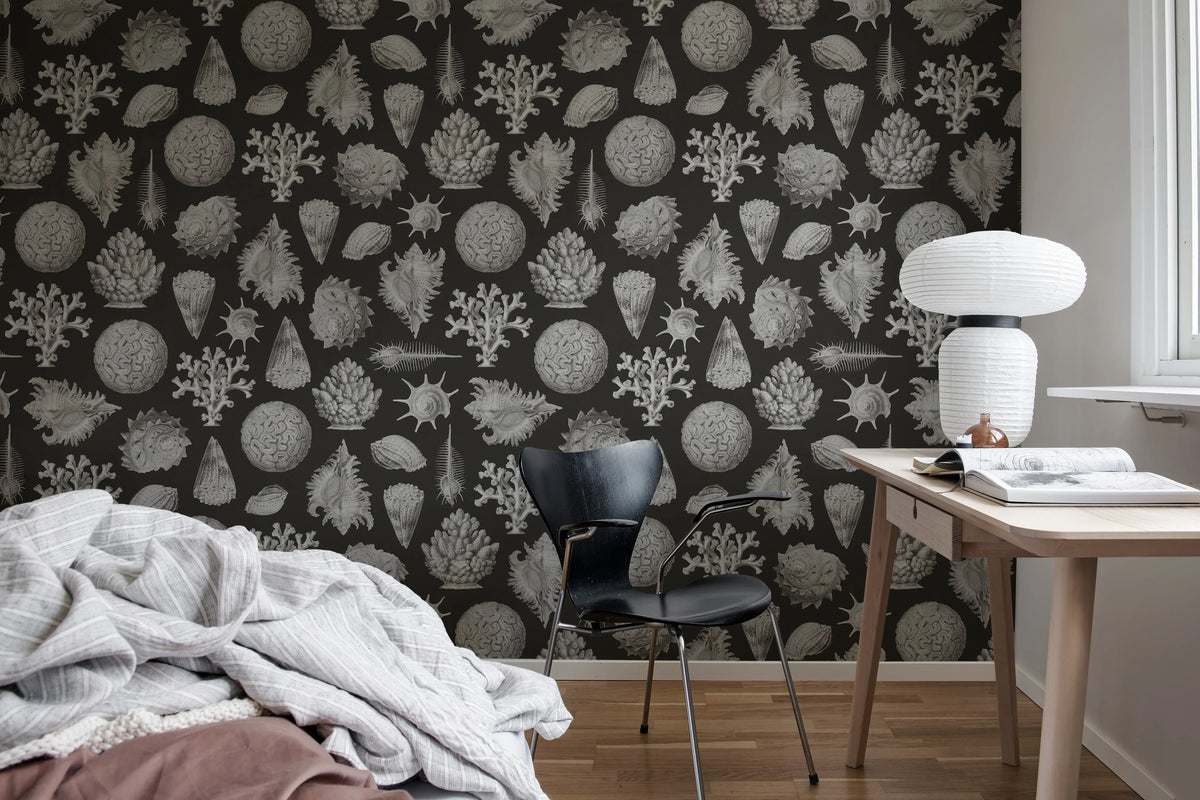 Seashells, Graphite Mural Wallpaper - room preview 02