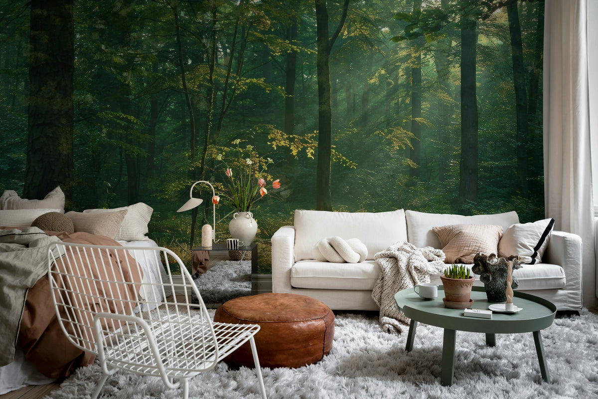 Sunrise Forest, Dawn Mural Wallpaper - room preview 02