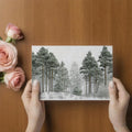 Snow-Dusted Pine Forest Mural Wallpaper Winter Woodland Mural Wallpaper - room preview 03