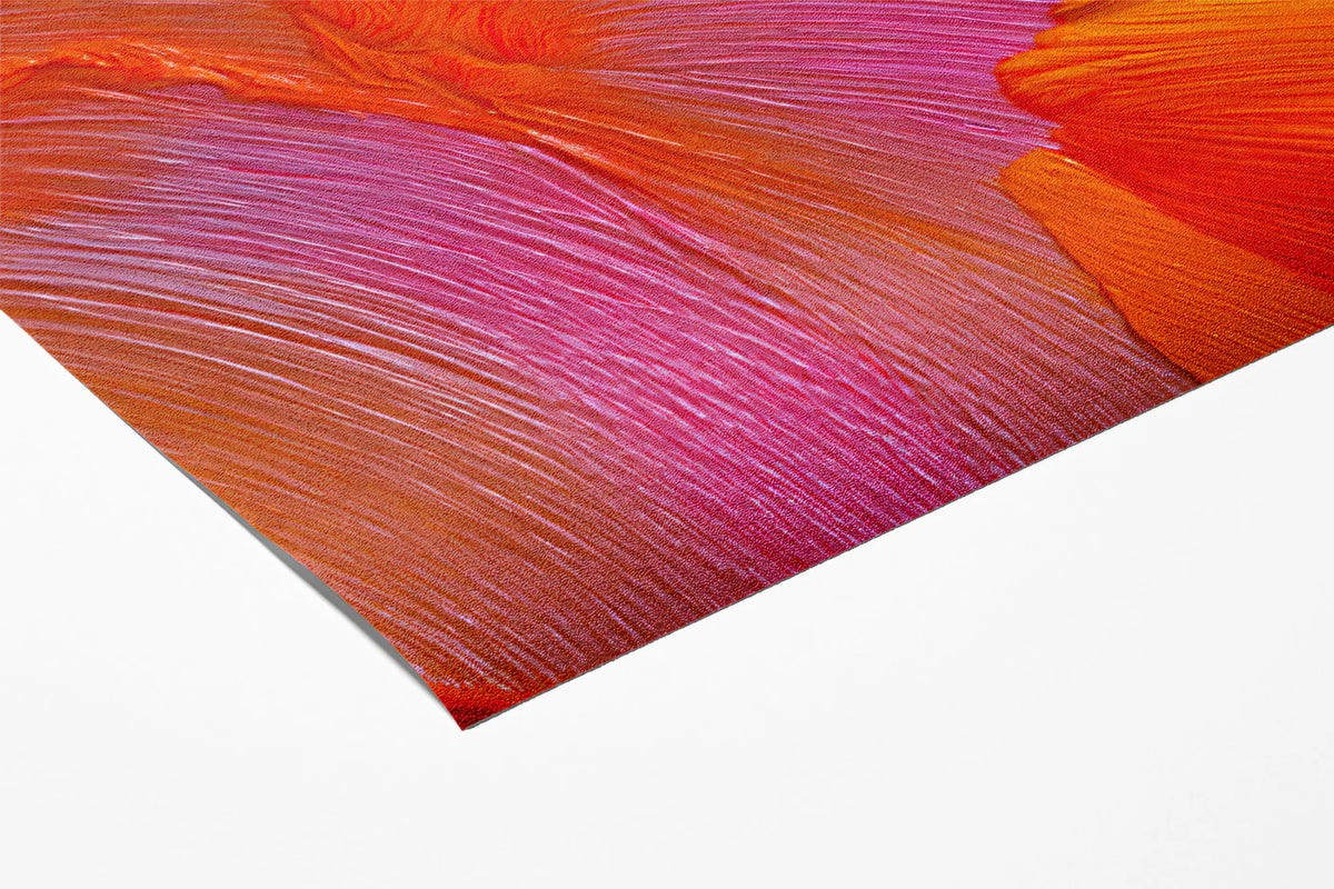 Vibrant Abstract Brushstroke Mural Wallpaper — Sunset Hues Mural Wallpaper - room preview 03