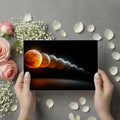 Lunar Eclipse Sequence Mural Wallpaper — Dramatic Cosmic Art Mural Wallpaper - room preview 03