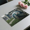 Tango Soccer Ball Close-Up Mural Wallpaper — Cinematic Sports Style Mural Wallpaper - room preview 03