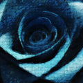 Deep Blue Rose Oil Painting Mural Wallpaper — Moody Floral Art Mural Wallpaper - room preview 03