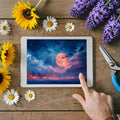 Celestial Christmas Night Mural Wallpaper — Festive Fantasy Scene Mural Wallpaper - room preview 03