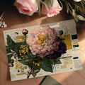 Peony Botanical Schematic Mural Wallpaper — Vintage Blueprint Art Mural Wallpaper - room preview 03