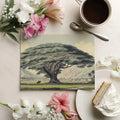 Ancient Banyan Tree Mural Wallpaper — Vintage Landscape Art Mural Wallpaper - room preview 03