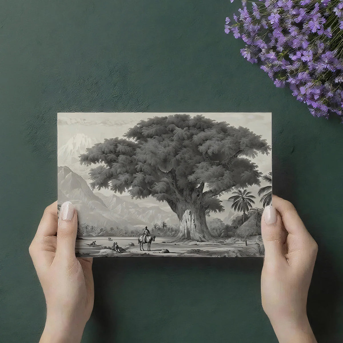 Banyan Tree Mountain Landscape Mural Wallpaper — Vintage Etching Mural Wallpaper - room preview 03