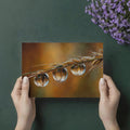 Golden Harvest Macro Mural Wallpaper — Warm Botanical Design Mural Wallpaper - room preview 03