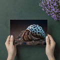 Hermit Crab Macro Mural Wallpaper — Surreal Marine Life Decor Mural Wallpaper - room preview 03