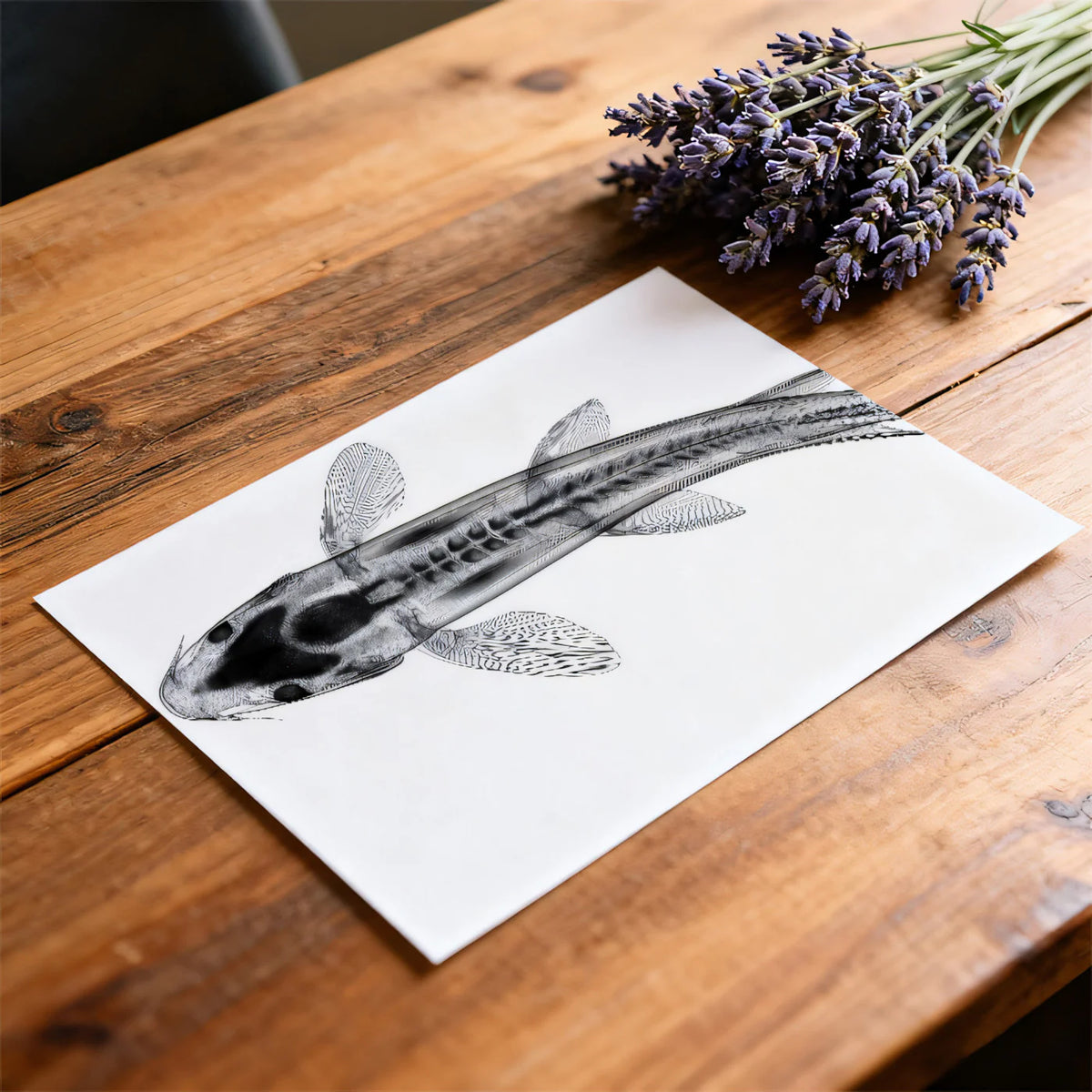Koi X-Ray Anatomy Mural Wallpaper — Scientific Monochrome Minimalist Mural Wallpaper - room preview 03