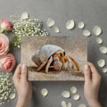 Hermit Crab Impressionist Oil Mural Wallpaper — Coastal Art Decor Mural Wallpaper - room preview 03