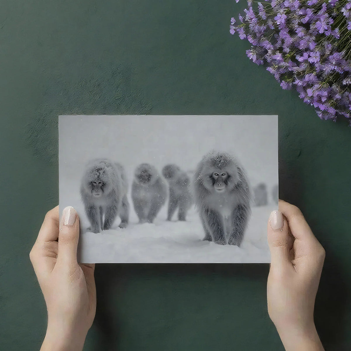 Snow Monkey Winter Landscape Mural Wallpaper — Minimalist Photography Mural Wallpaper - room preview 03