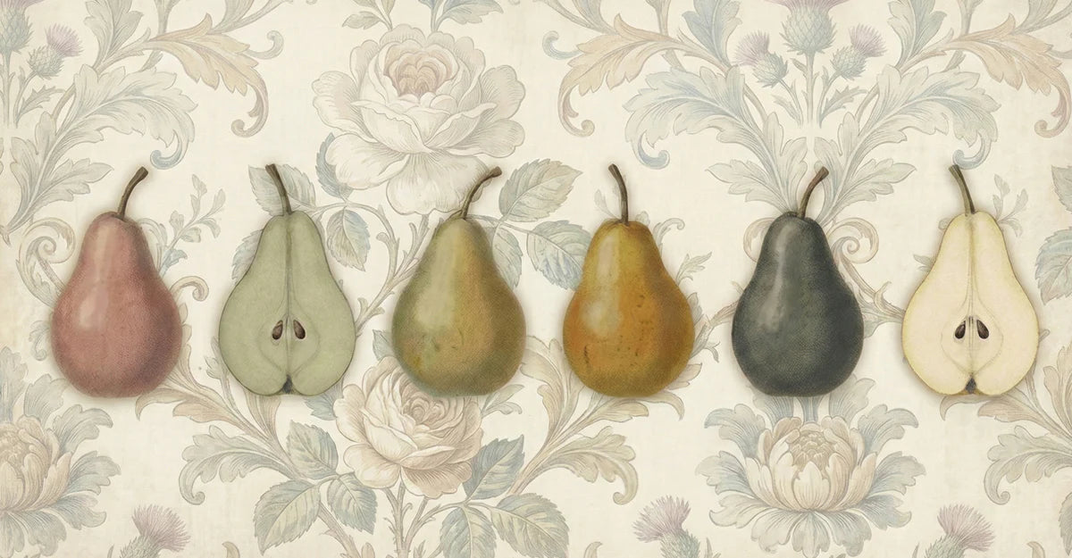 Vintage Pear Botanical Mural Wallpaper — Classic Fruit Illustration Mural Wallpaper - room preview 03