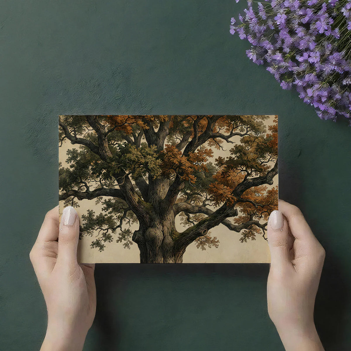 Ancient Oak Tree Mural Wallpaper — Vintage Botanical Engraving Mural Wallpaper - room preview 03