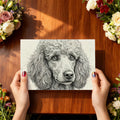 Poodle Portrait Mural Wallpaper in Fine Charcoal Line Art Mural Wallpaper - room preview 03