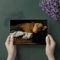 Sleeping Highland Calf Mural Wallpaper —Artistic Farmhouse Decor Mural Wallpaper - room preview 03