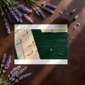 Athletic Track Mural Wallpaper — Bold Painterly Abstract Design Mural Wallpaper - room preview 03