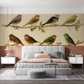 Vintage Ornithology Mural Wallpaper — Scientific Bird Study Mural Wallpaper - room preview 03