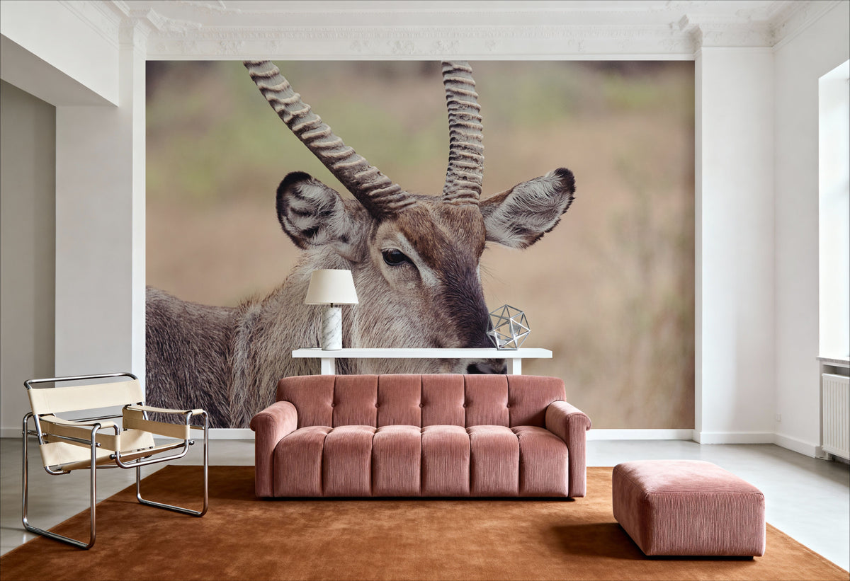 Waterbuck Portrait Mural Wallpaper - room preview 03