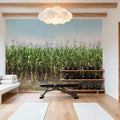 Corn Field Mural Wallpaper - room preview 03