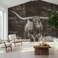 Longhorn Flowers Sepia Mural Wallpaper - room preview 03
