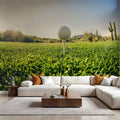 Tee Time Mural Wallpaper - room preview 03
