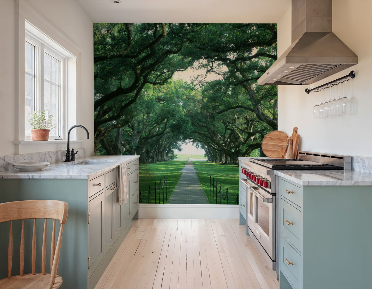 Ancient Oak Avenue Mural Wallpaper - room preview 03