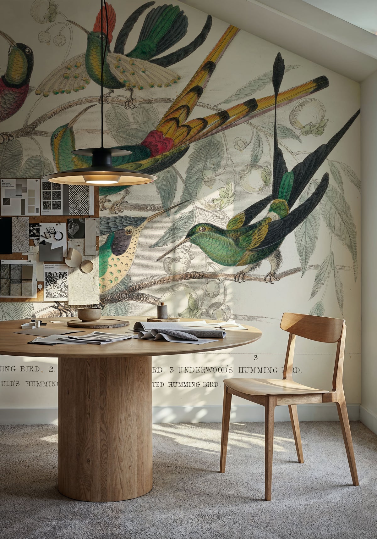 Hummingbird Study Mural Wallpaper - room preview 03