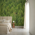 Evergreen Forest in Washintong State Mural Wallpaper - room preview 03