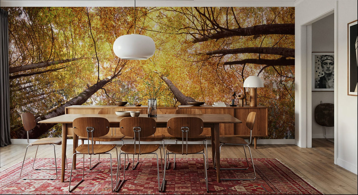 Autumn Canopy Glow Mural Wallpaper - room preview 03
