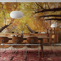 Autumn Canopy Glow Mural Wallpaper - room preview 03