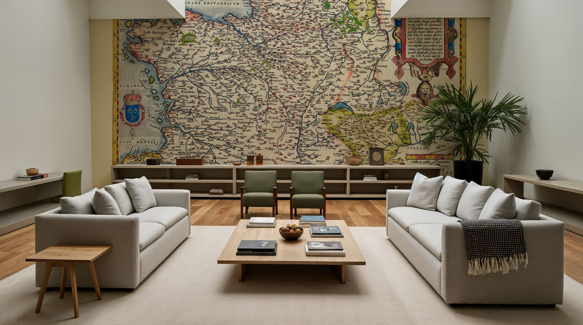 Old Map of France, 1570 Mural Wallpaper - room preview 03