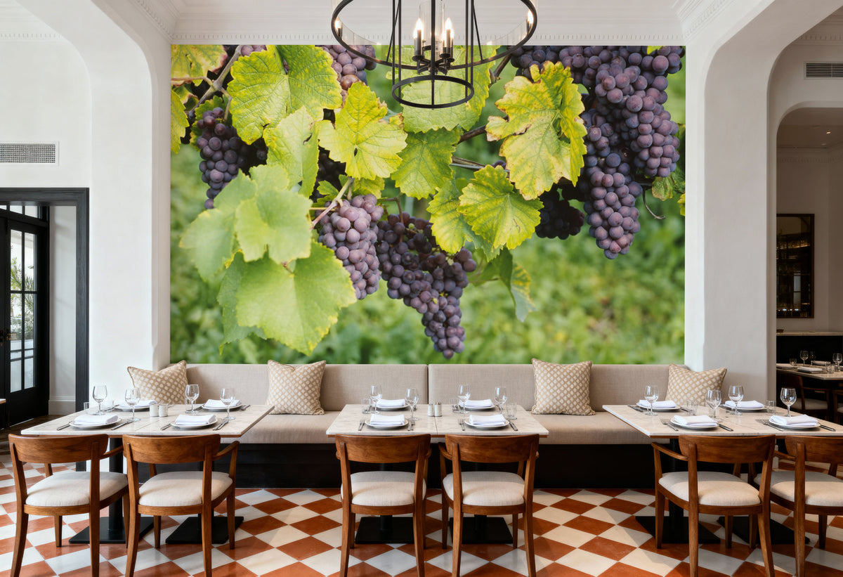 Vineyard Harvest Mural Wallpaper - room preview 03
