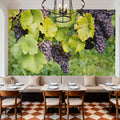 Vineyard Harvest Mural Wallpaper - room preview 03