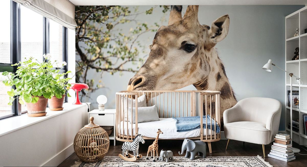 Giraffe Portrait II Mural Wallpaper - room preview 03
