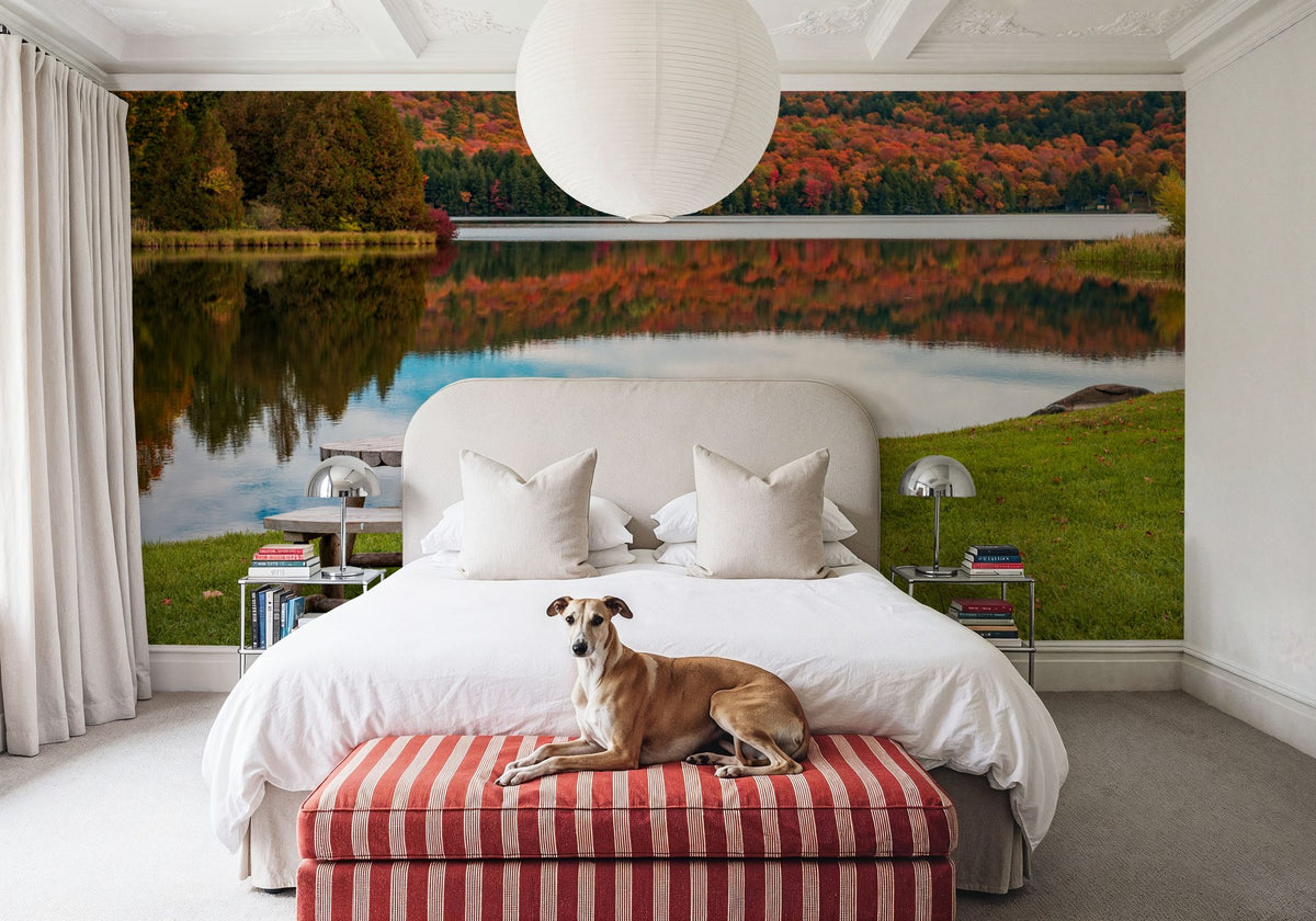 Vermont Fall Mural Wallpaper - room preview 03