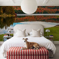 Vermont Fall Mural Wallpaper - room preview 03