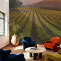 Napa Sunset Mural Wallpaper - room preview 03