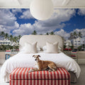 Ocean Drive Elegance Mural Wallpaper - room preview 03