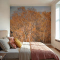 Amber Birch Woods Mural Wallpaper - room preview 03