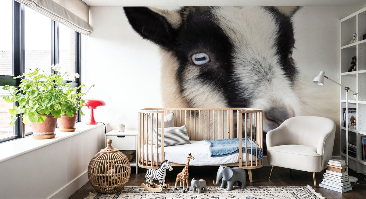 Pippa the Goat I Mural Wallpaper - room preview 03
