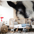 Pippa the Goat I Mural Wallpaper - room preview 03
