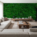 The Green Wall Mural Wallpaper - room preview 03