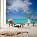 Windsurf Ready Mural Wallpaper - room preview 03