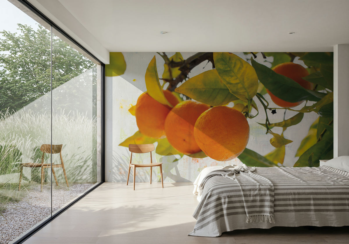 Oranges I Mural Wallpaper - room preview 03