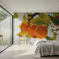 Oranges I Mural Wallpaper - room preview 03