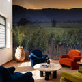 Napa Sunrise Mural Wallpaper - room preview 03
