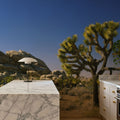 Desert Sentinel Mural Wallpaper - room preview 03